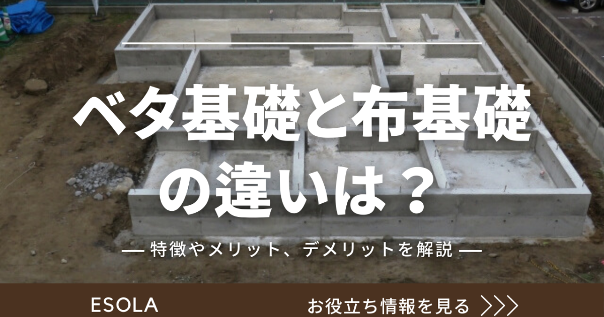 あなたのベタが男の子か女の子かを判断する方法