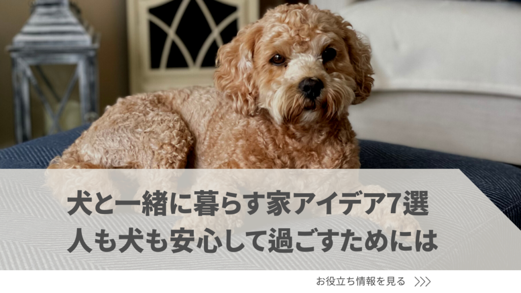 犬と暮らす家 アイデア