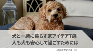 犬と一緒に暮らす家を作るアイデア7選。人も犬も安心して過ごすためには