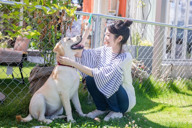 犬と暮らす家 アイデア