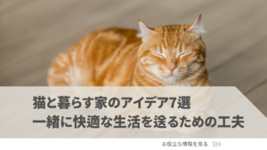 猫と暮らす家のアイデア7選。一緒に快適な生活を送るための工夫